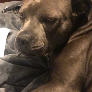 Meet your Posher, Terry